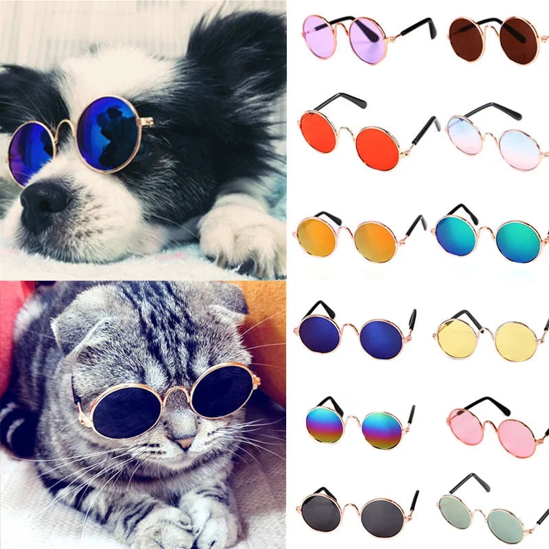 Feline Fashionista Sunglasses