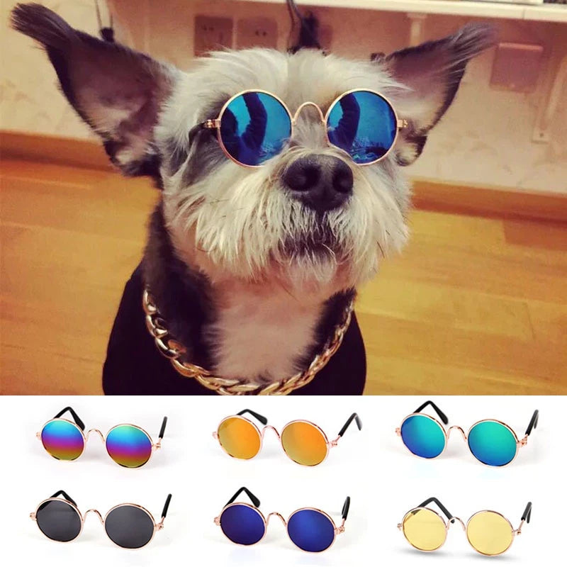 Feline Fashionista Sunglasses