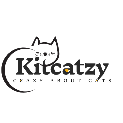 Kitcatzy 