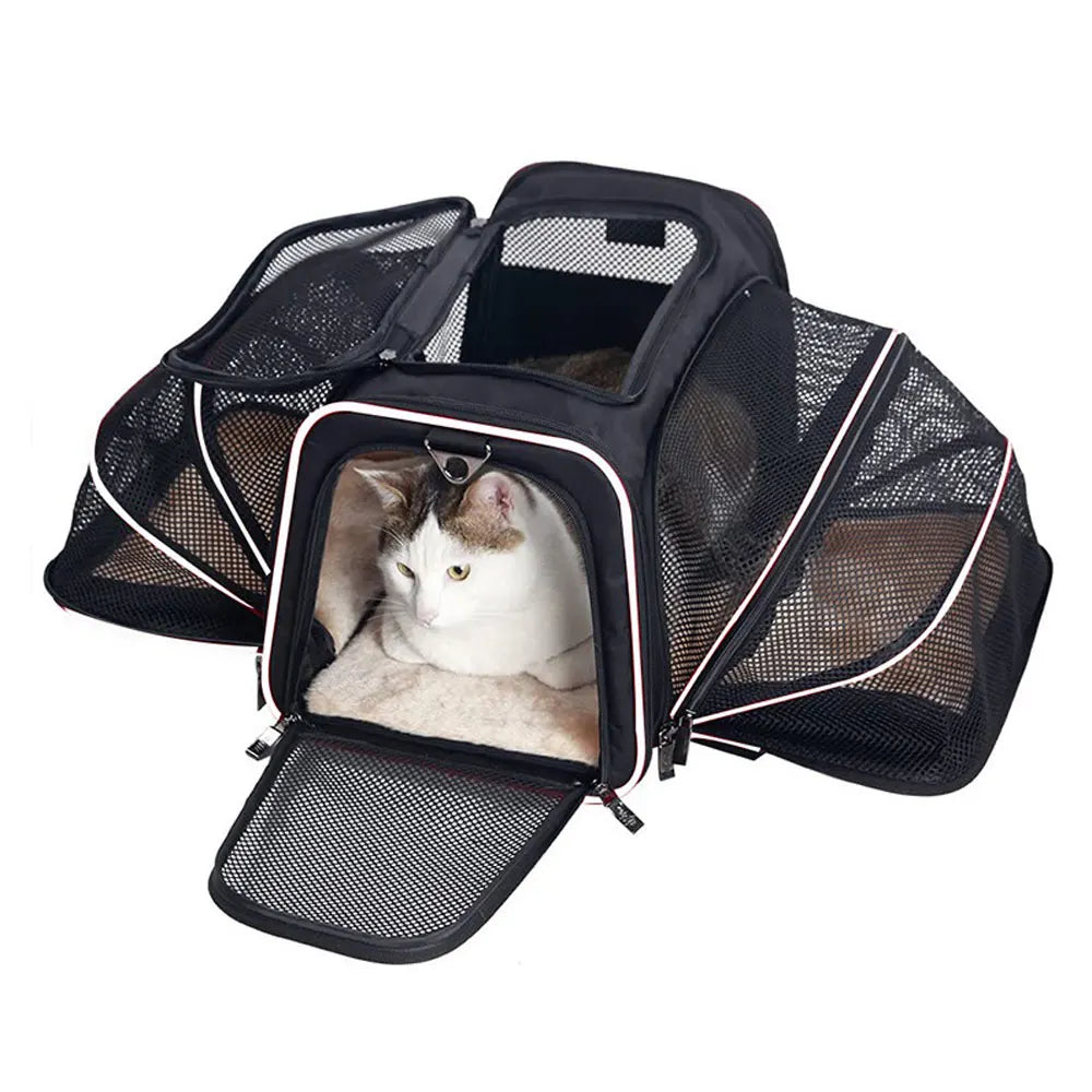 Expandable Cat Carrier Bag