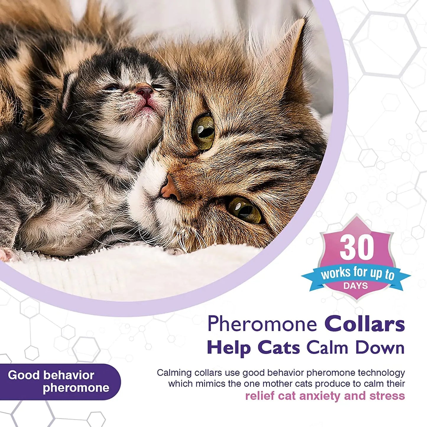 TranquilPaws Cat Calming Collar - 4PCS Set