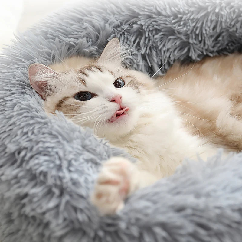 Cozy Cat Bed