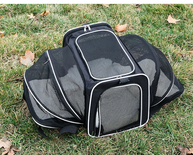 Expandable Cat Carrier Bag