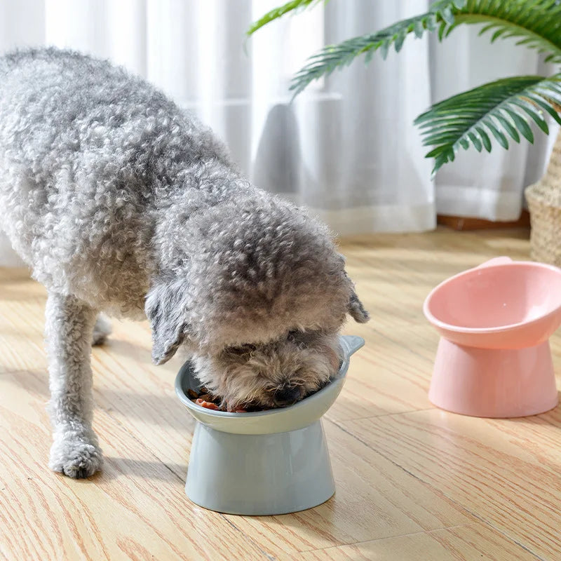 Ergonomic Elevated Cat Bowl - 45° Tilt