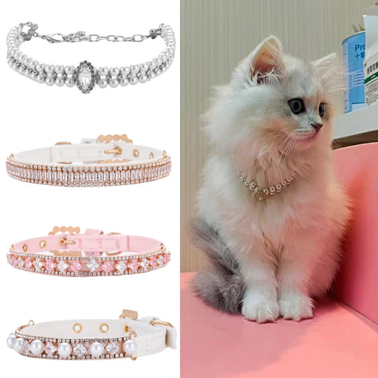 Feline Fashionista Rhinestone Collar