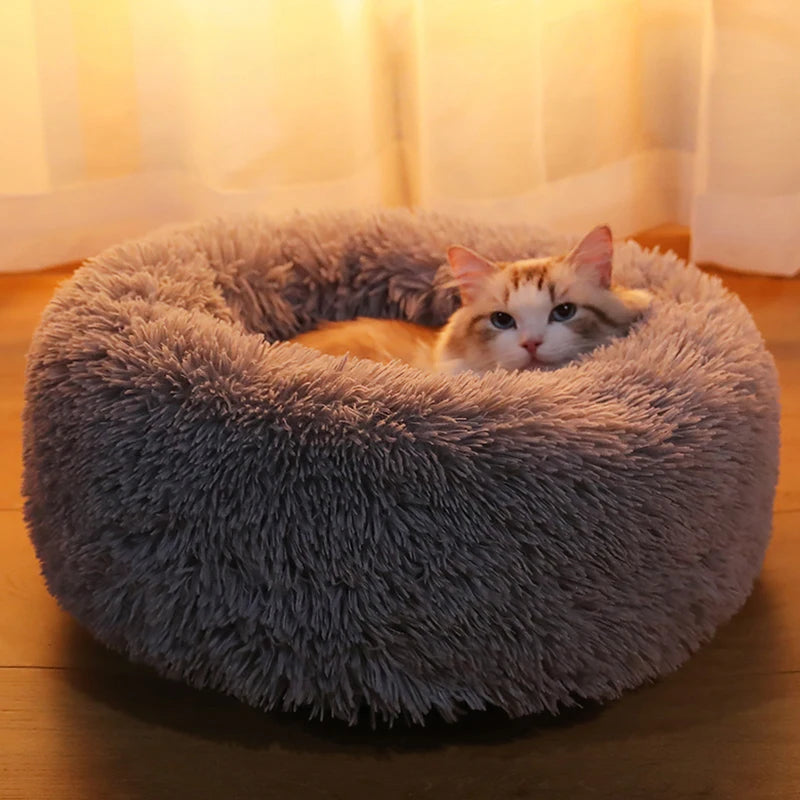 Cozy Cat Bed