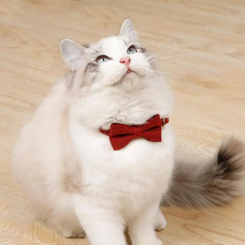 Whisker Wonderland: Charming Cat Bow Tie Collar