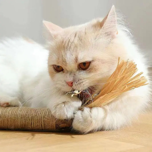 Natural Bliss Chew Toy for Cats