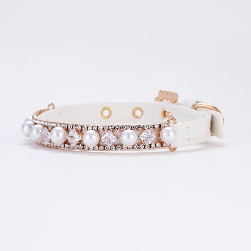 Feline Fashionista Rhinestone Collar