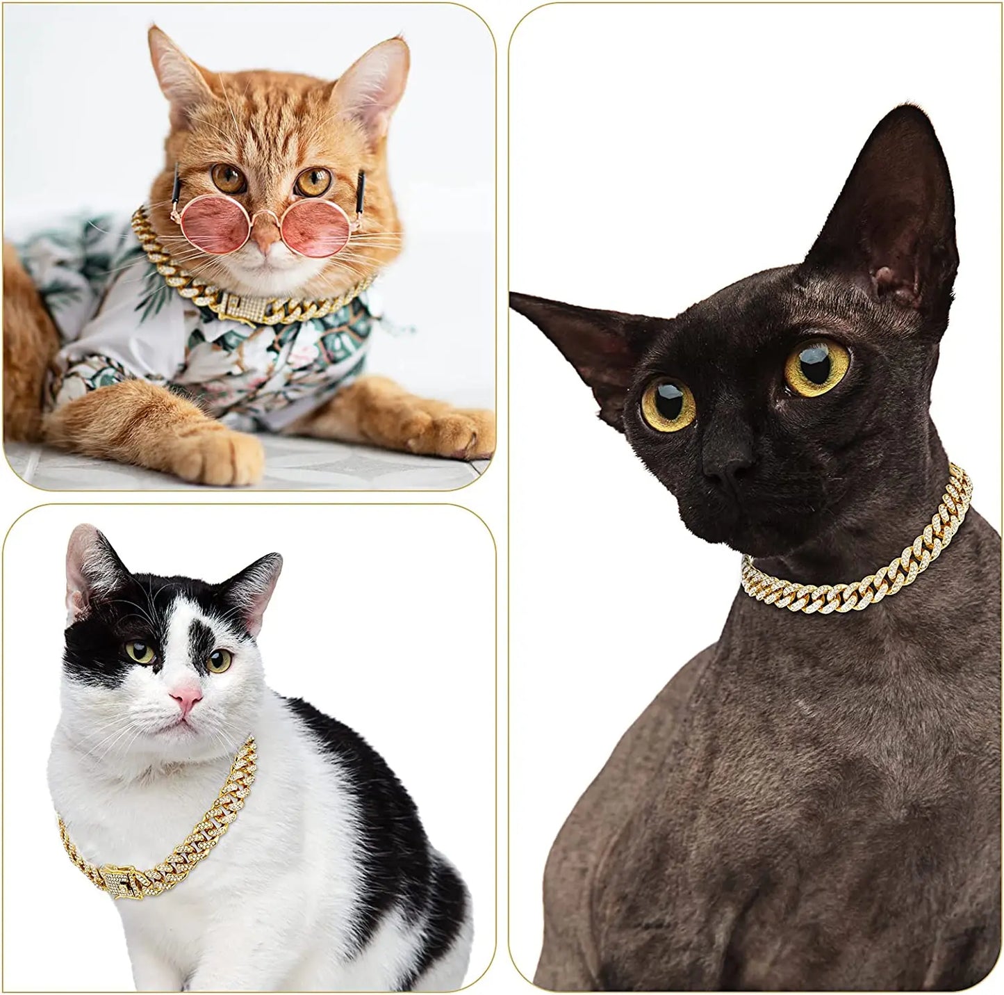 Feline Fashionista Pet Diamond Collar