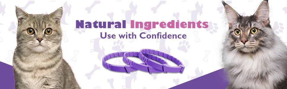 TranquilPaws Cat Calming Collar - 4PCS Set